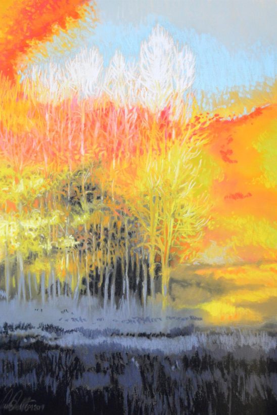 Vivian Varni Patton, Forest Gone I