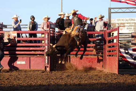 Rodeo at the Fair - 002