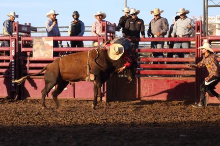 Rodeo at the Fair - 003