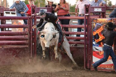 Rodeo at the Fair - 011