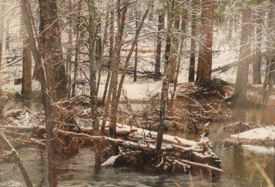 2019 County Fairs Show_Kim Davis__Snowy Creek__Photograph_2019.jpg