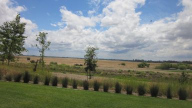 Ranch lands around UC Merced