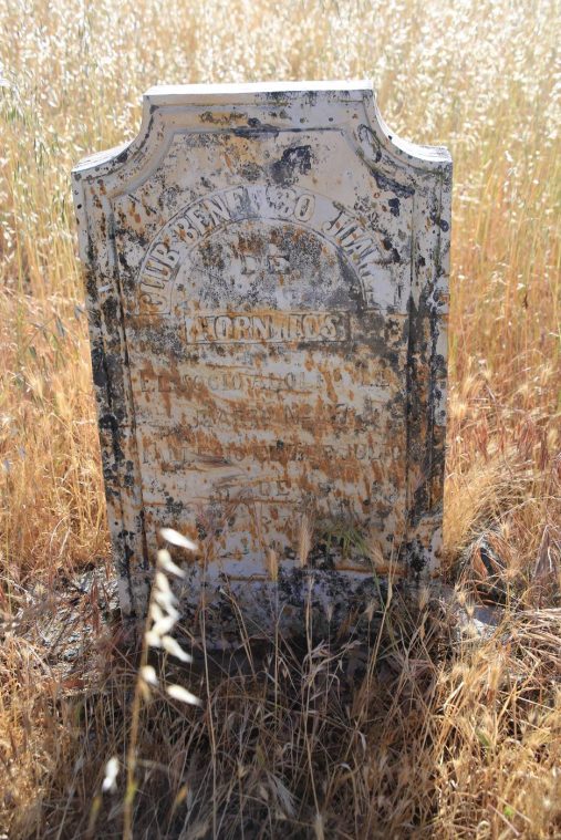 Indian Gulch Cemetery 2