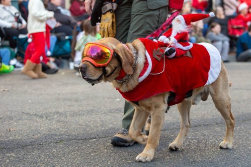Merced Xmas Parade 2023-07