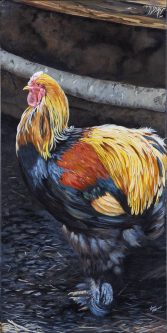 20240513 THemme Rooster