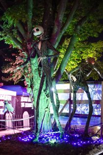 Halloween Homes 2024 -04