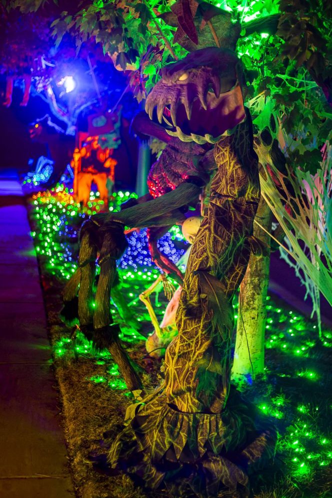 Halloween Homes 2024 -18