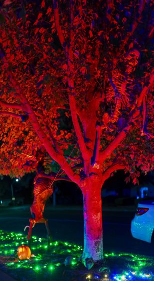 Halloween Homes 2024 -23