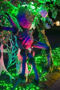 Halloween Homes 2024 -24