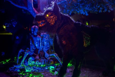 Halloween Homes 2024 -25